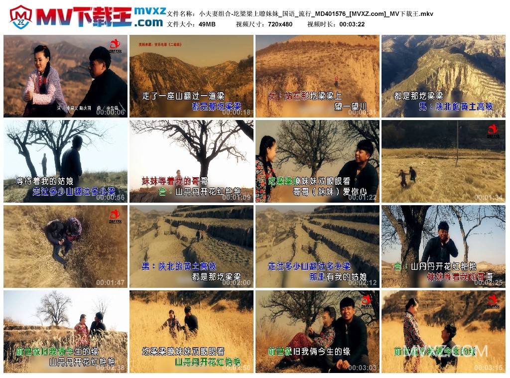 小夫妻组合-圪梁梁上瞭妹妹_国语_流行_MD401576